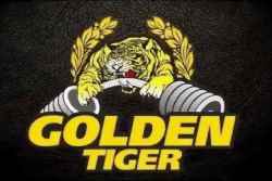 Чемпионат «Золотой Тигр»
